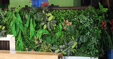 張家口生物質鍋爐